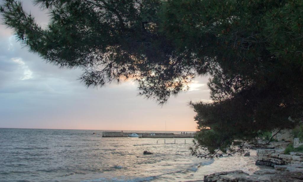 Apartments Villa Stapo Umag Kültér fotó